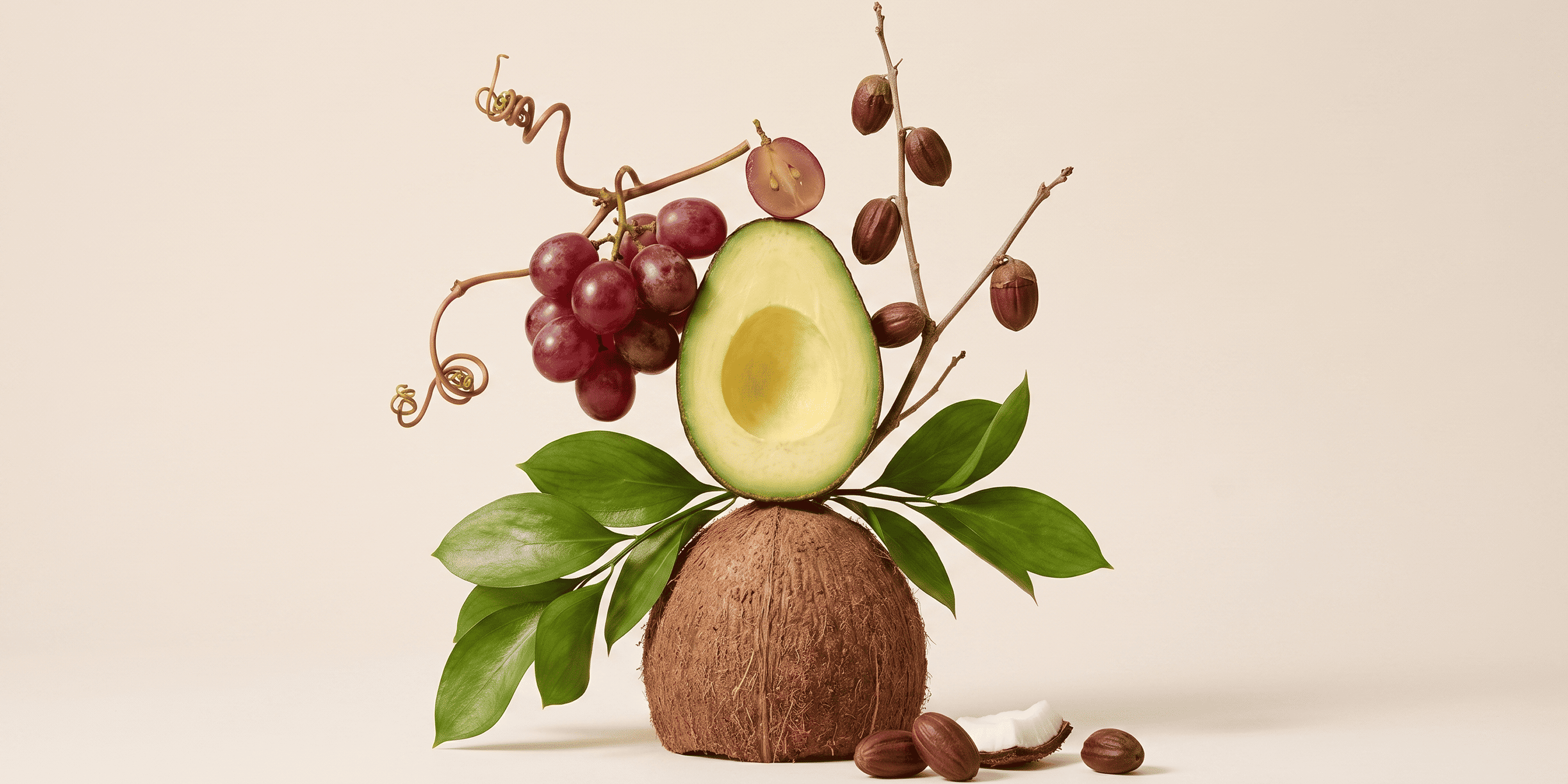 jojoba seeds, grapeseed, avocado and coconut ingredient composition