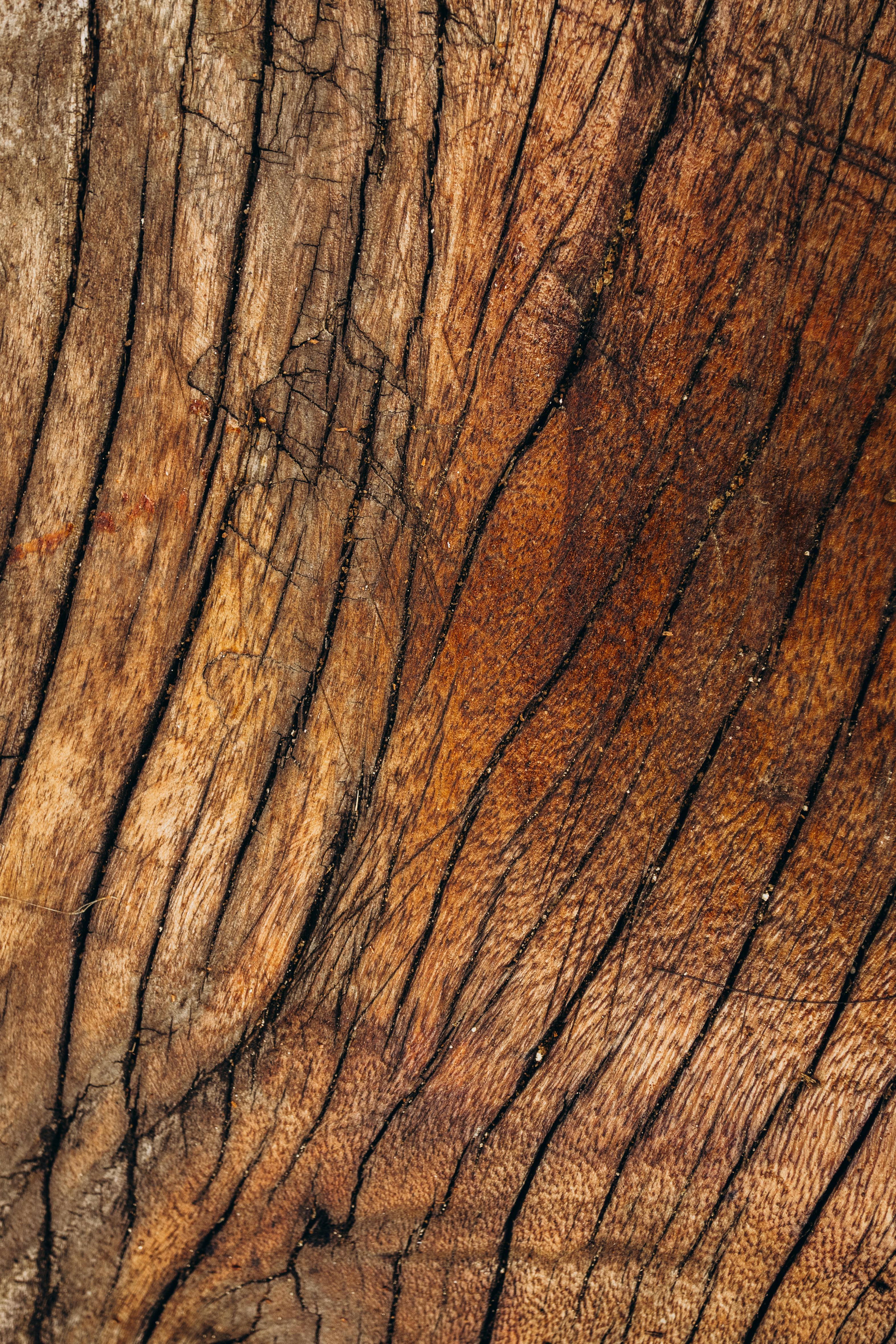 Close-up of a textured wooden surface with brown and beige colors.
