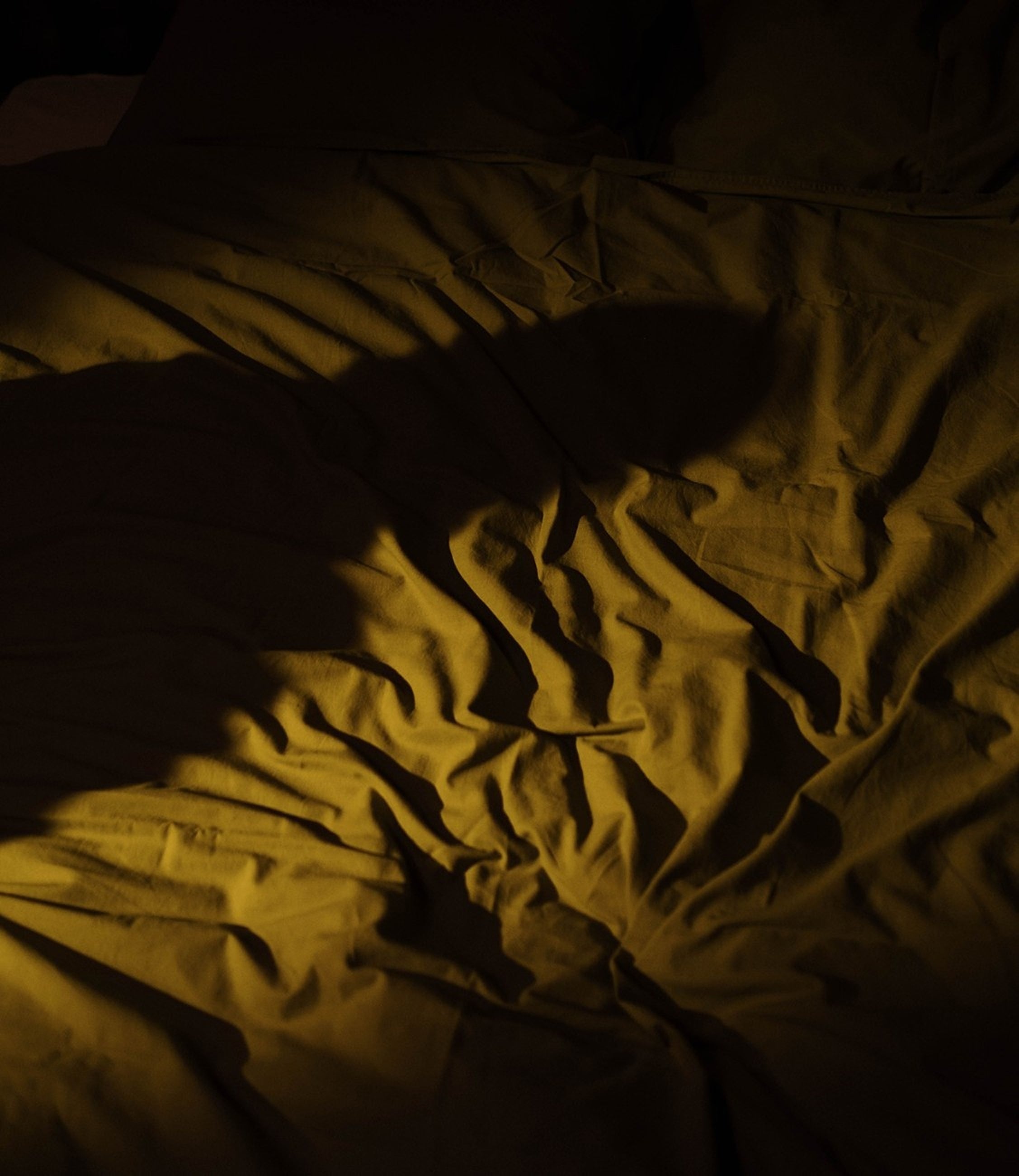 Dark olive green wrinkled bedding under dramatic low-key lighting, casting deep shadows across the fabric.